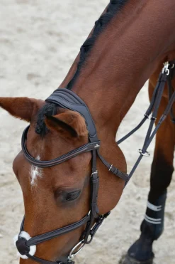 Comfitec Opulux schlichte gepolsterte Trense mit mexikanischem Reithalfter