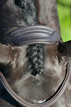 Comfitec Opulux schlichte gepolsterte Trense mit mexikanischem Reithalfter