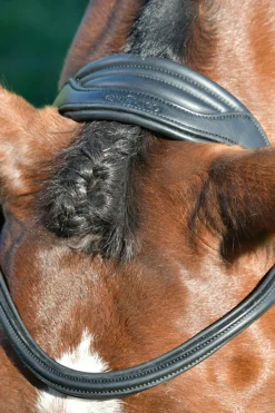 Comfitec Opulux schlichte, gepolsterte Trense mit kombiniertem hannoverschem Reithalfter