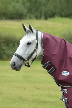 Comfitec Plus Dynamic II Medium/Lite Halsteil, 100g