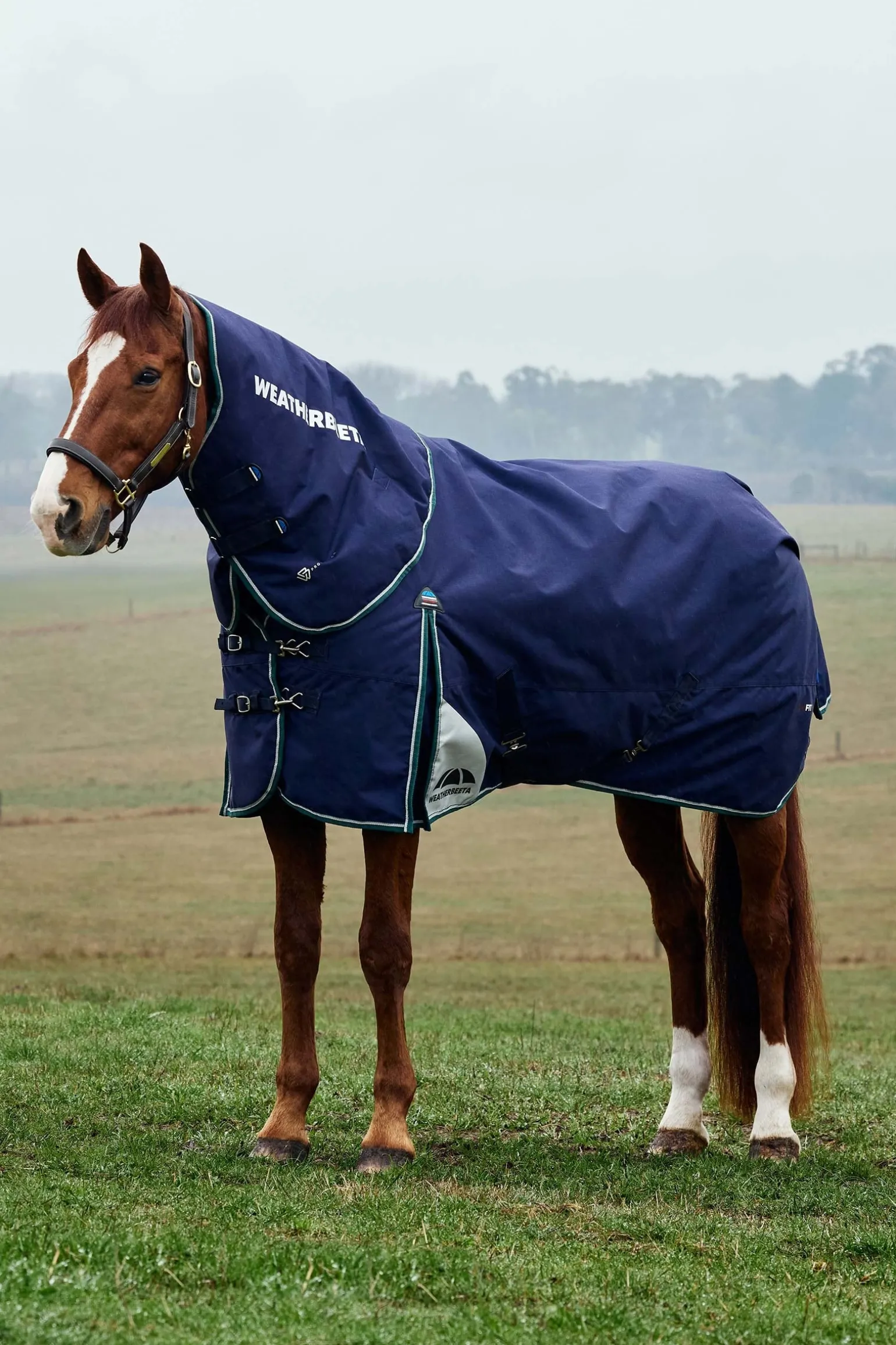 ComFiTecPlus Dynamic Turnout Detach-A-Neck 220G