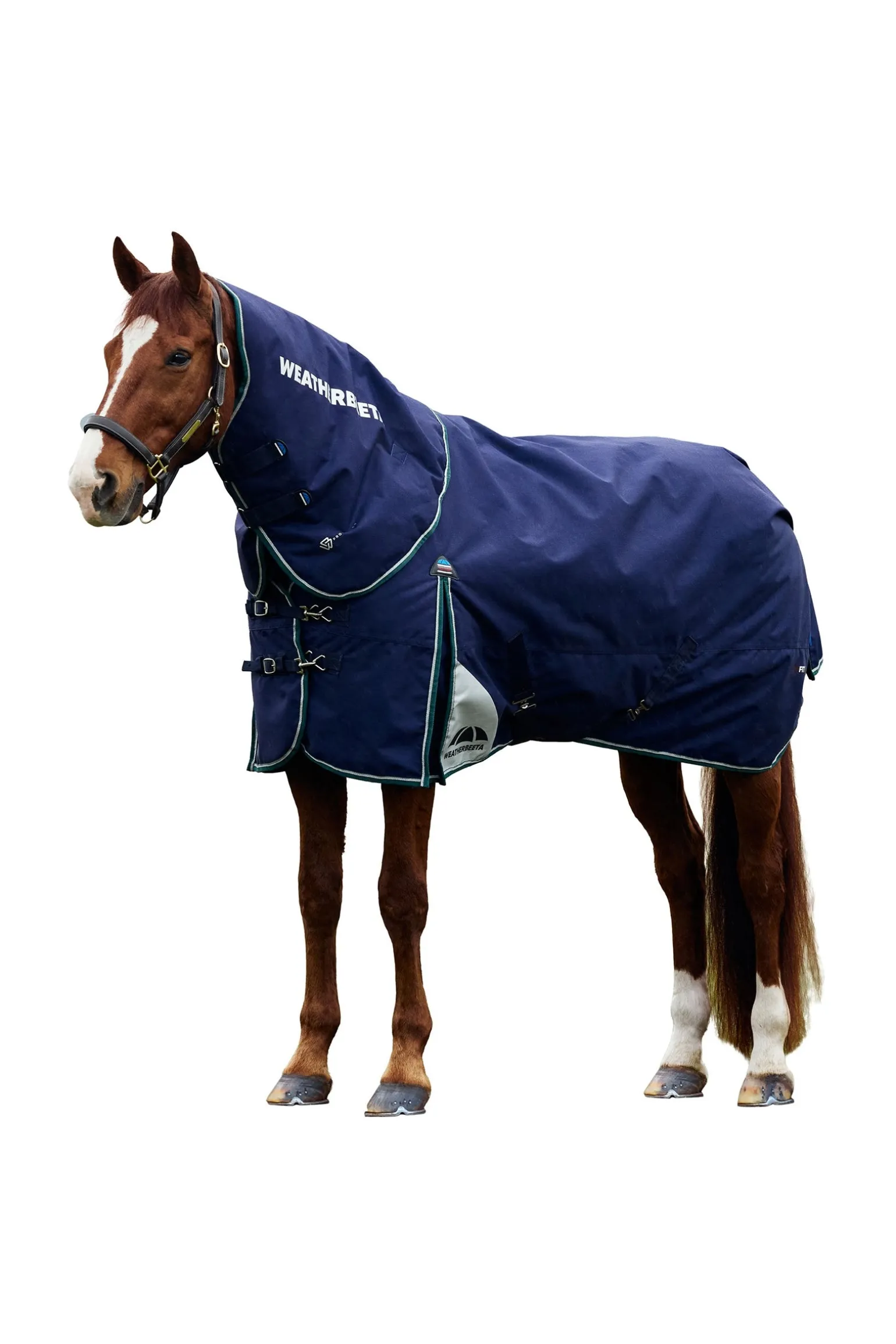 ComFiTecPlus Dynamic Turnout Detach-A-Neck 220G