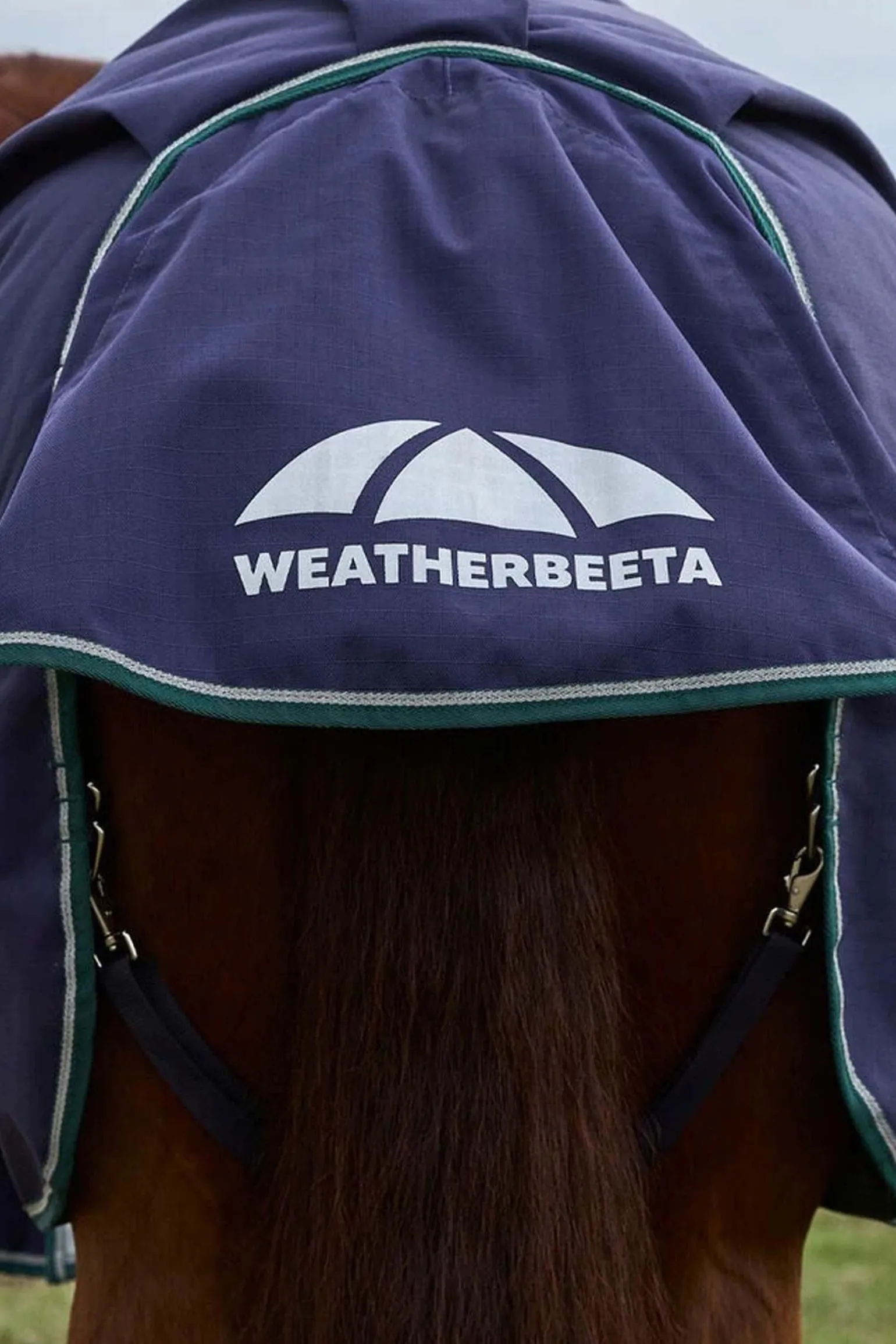 ComFiTecPlus Dynamic Turnout Detach-A-Neck 220G