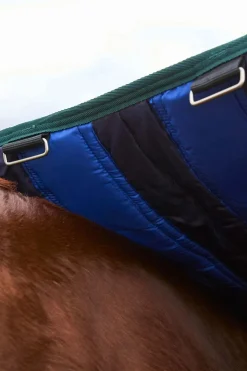 ComFiTecPlus Dynamic Turnout Detach-A-Neck 220G