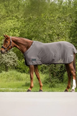 Comfort Fliegendecke