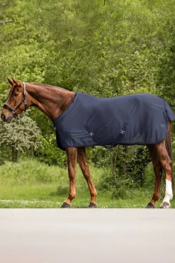 Comfort Fliegendecke