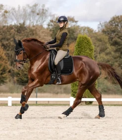 Comfort Ride Glam Reithosen mit Vollbesatz