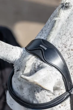 Competiton Trensenzaum