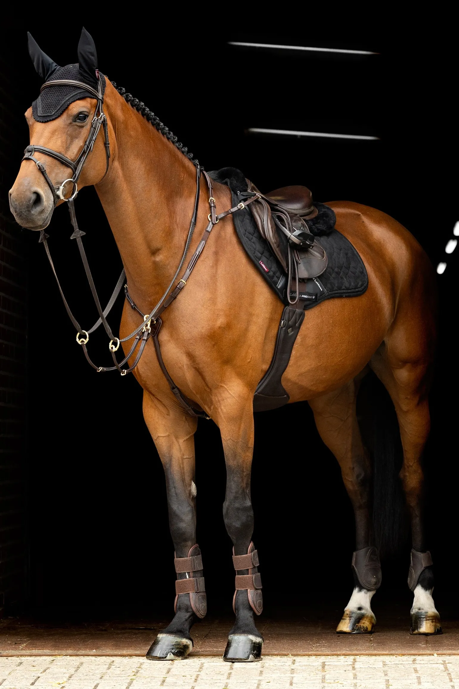 Crystal Fliegenhaube