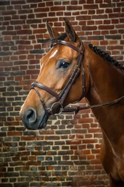 D Collection kombinierte Trense