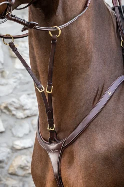 D Collection Martingalgabel