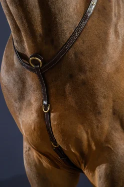 D Collection Vorderzeug mit Brücke