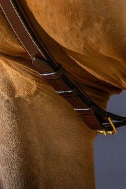 D Collection Vorderzeug mit langer Brücke