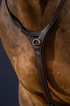 D Collection Y-Vorderzeug