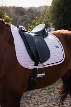 Daylight Dressurschabracke