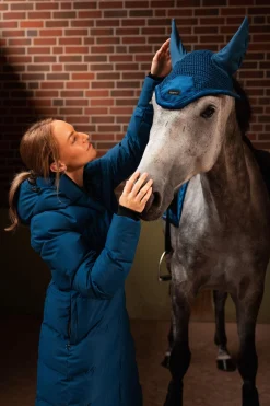 Delémont Fliegenhaube