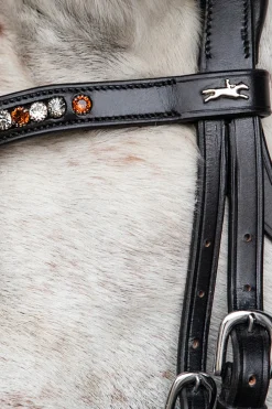 Diamond Select Stirnriemen