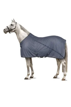 Dorchester Netzdecke