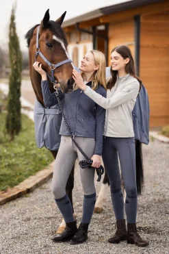 Dorchester Netzdecke