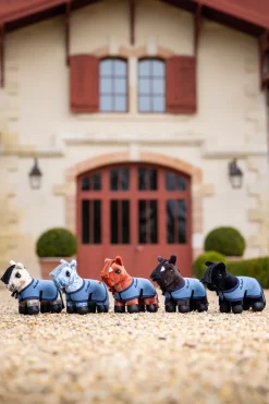 Dream Tiny Pony Spielzeug