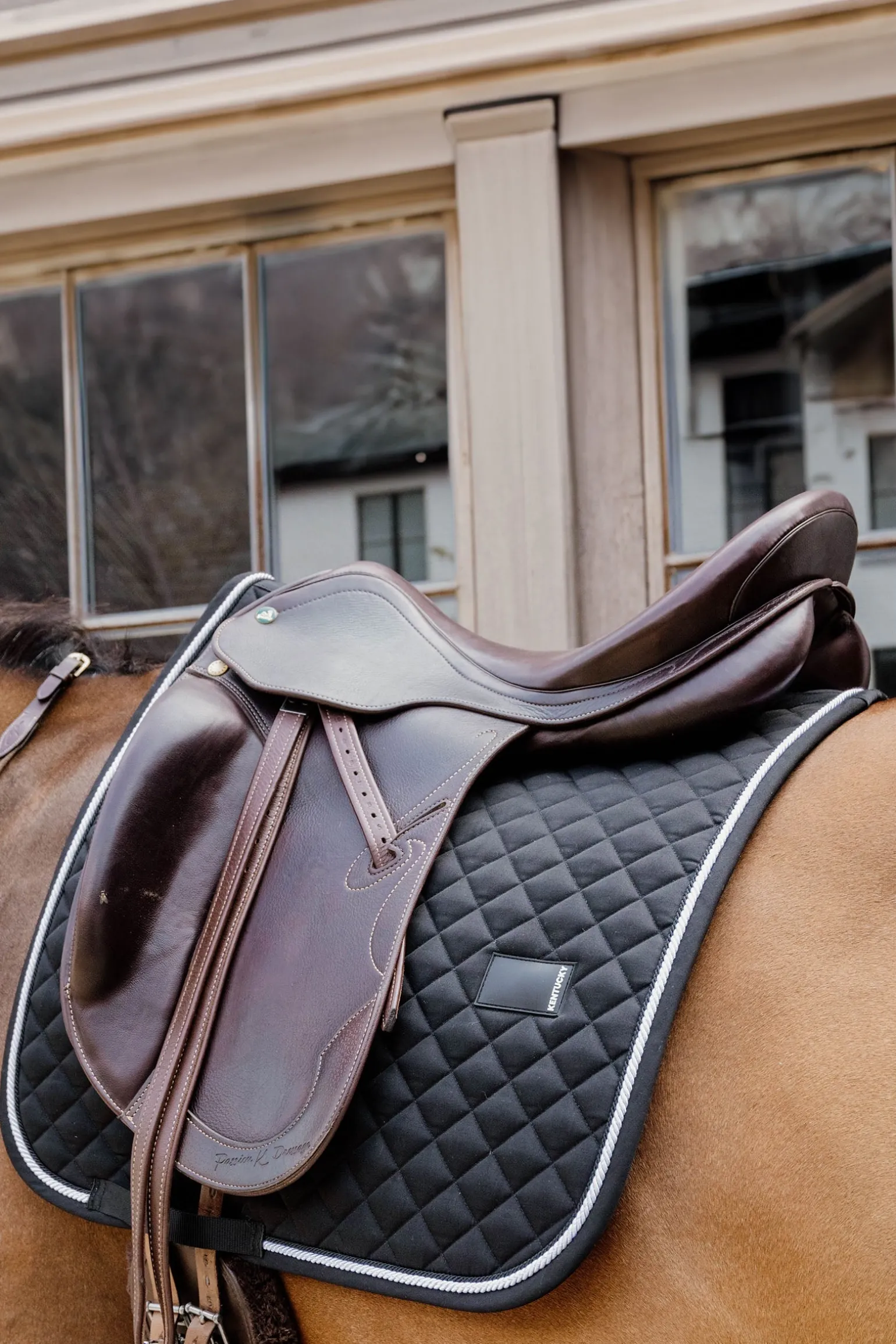 Dressurschabracke Diamond Rope