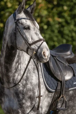 Dynamic RS D-Ring Gebiss Hunter, 14 mm, einfach gebrochen, Sensogan, 70 mm D-Ring