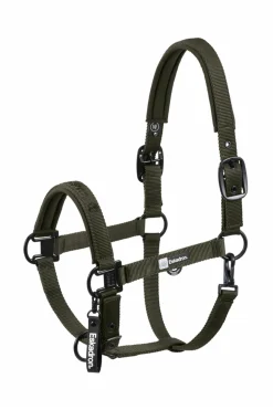 Dynamics AW25 Halfter mit Dornschnalle doppelt