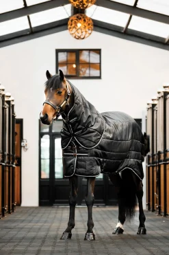 Easy-Layer Stable Plus Heavy 400g