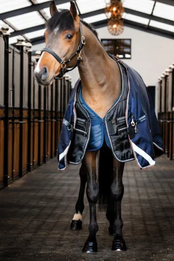 Easy-Layer Stalldecke 100g