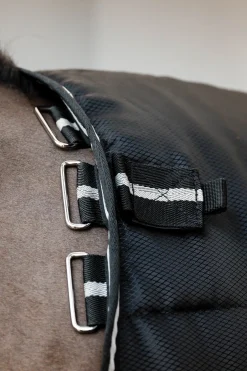 Easy-Layer Stalldecke 100g