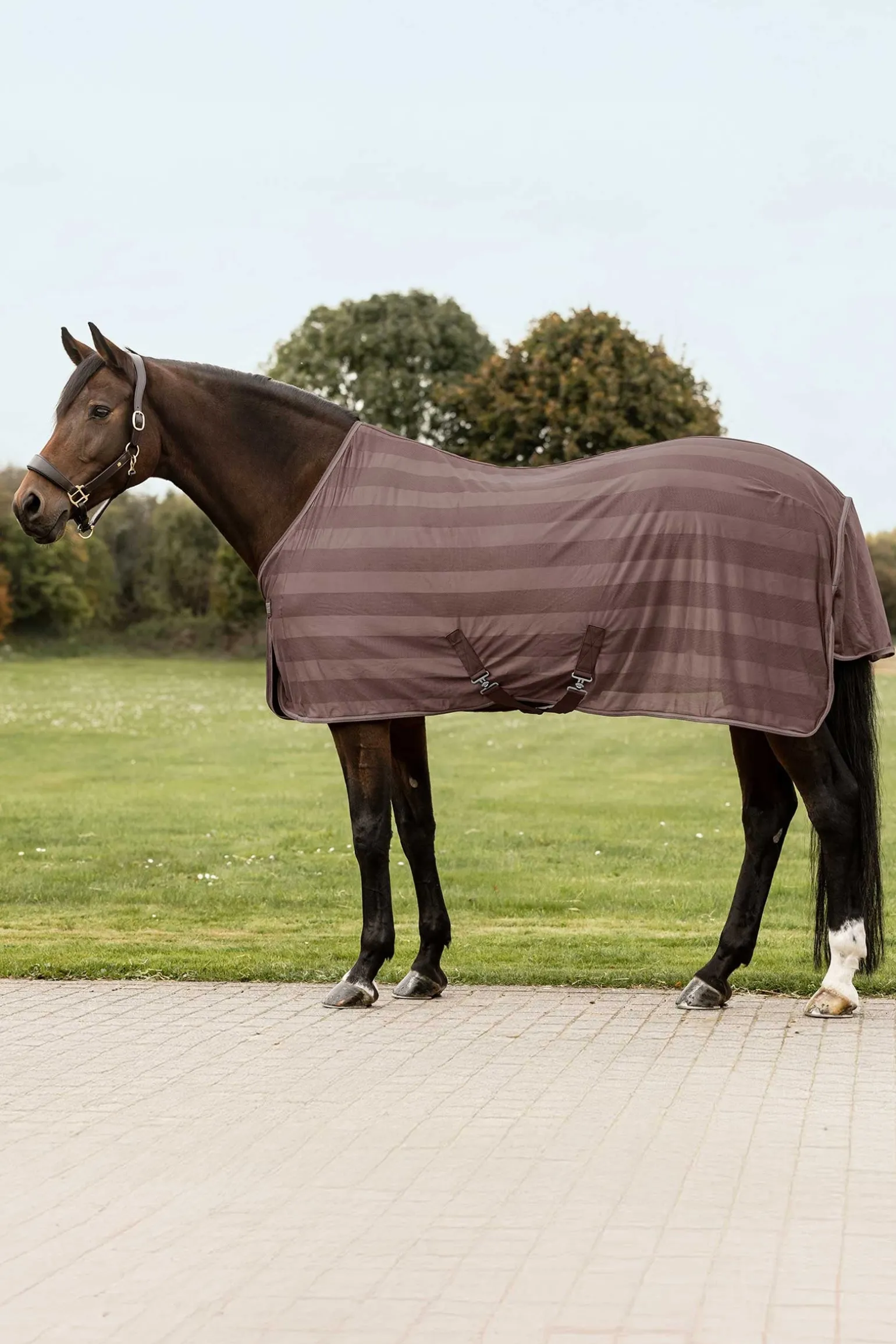 Economic Fliegendecke