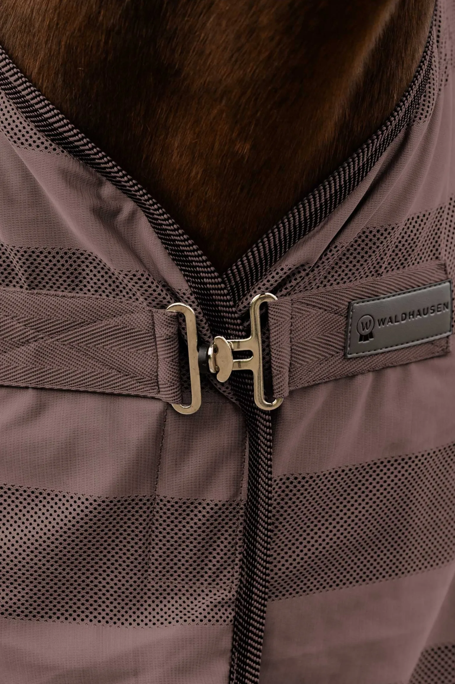 Economic Fliegendecke