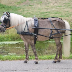 Einspänner Geschirr Economic Pony und Shetland
