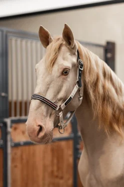 Empowerment Feldsicheres Halfter