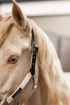 Empowerment Feldsicheres Halfter