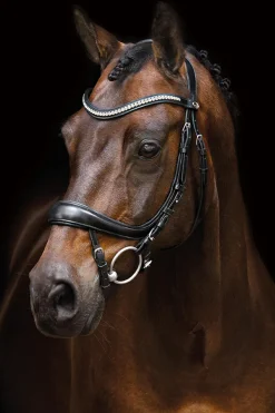 Equitus Beta anatomische Trense