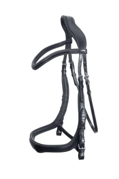 Equitus Delta Trense