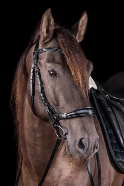 Equitus Theta 3in1 Trense