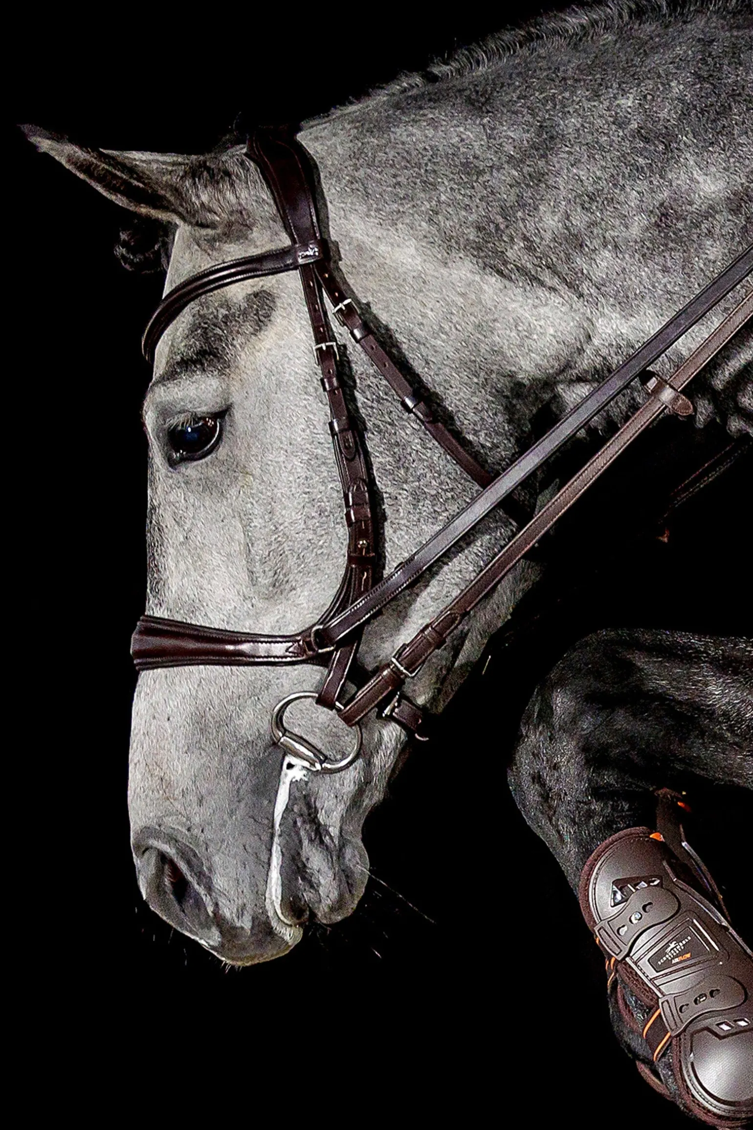 Equitus Theta 3in1 Trense