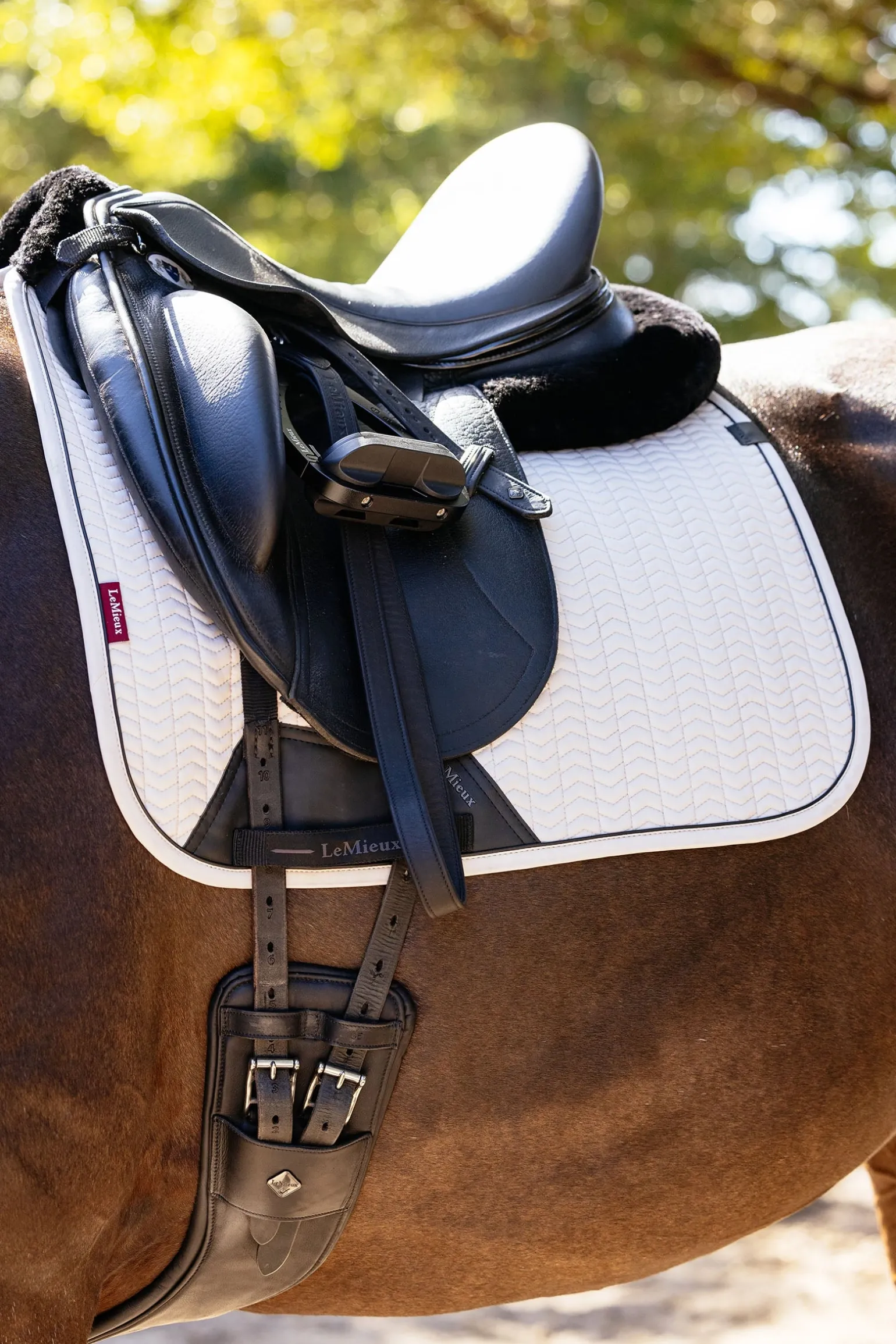 Essence Dressurschabracke