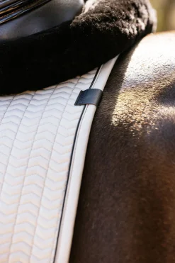 Essence Dressurschabracke