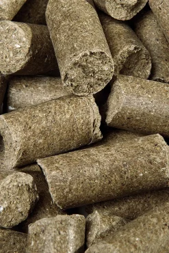 Eucalyptus Delicious Speedies, Leckerli, 1kg