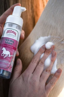 Express Fleck-Weg Schaum, 200ml