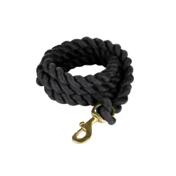 Führleine, Polyester