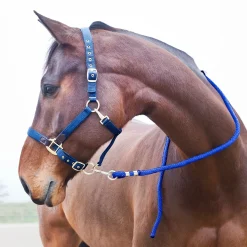 Führstrick, Karabinerhaken