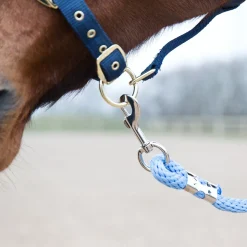 Führstrick, Karabinerhaken