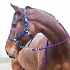 Führstrick, Karabinerhaken