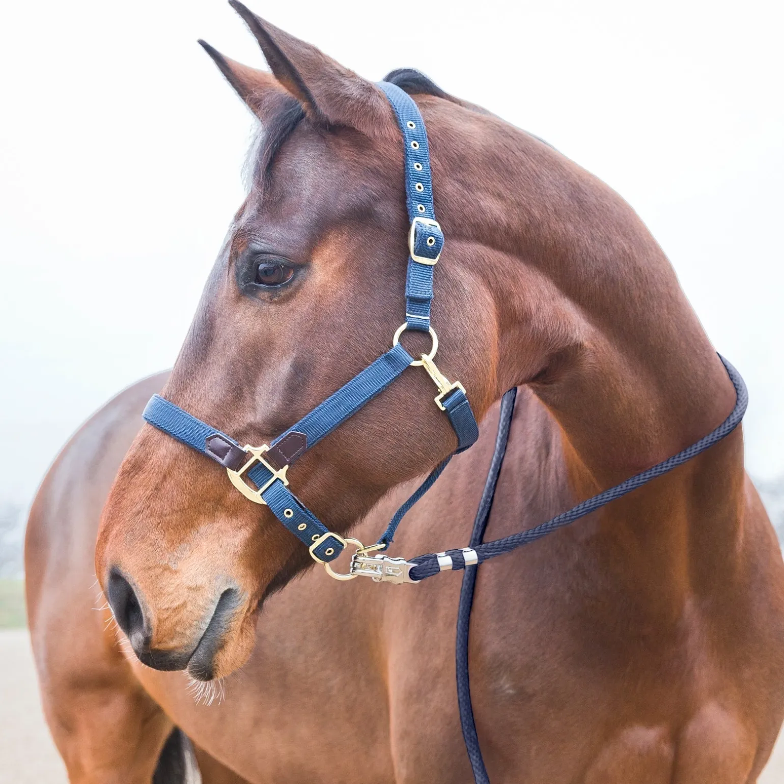 Führstrick, Panikhaken