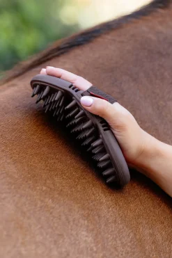 Flexi Massagebürste