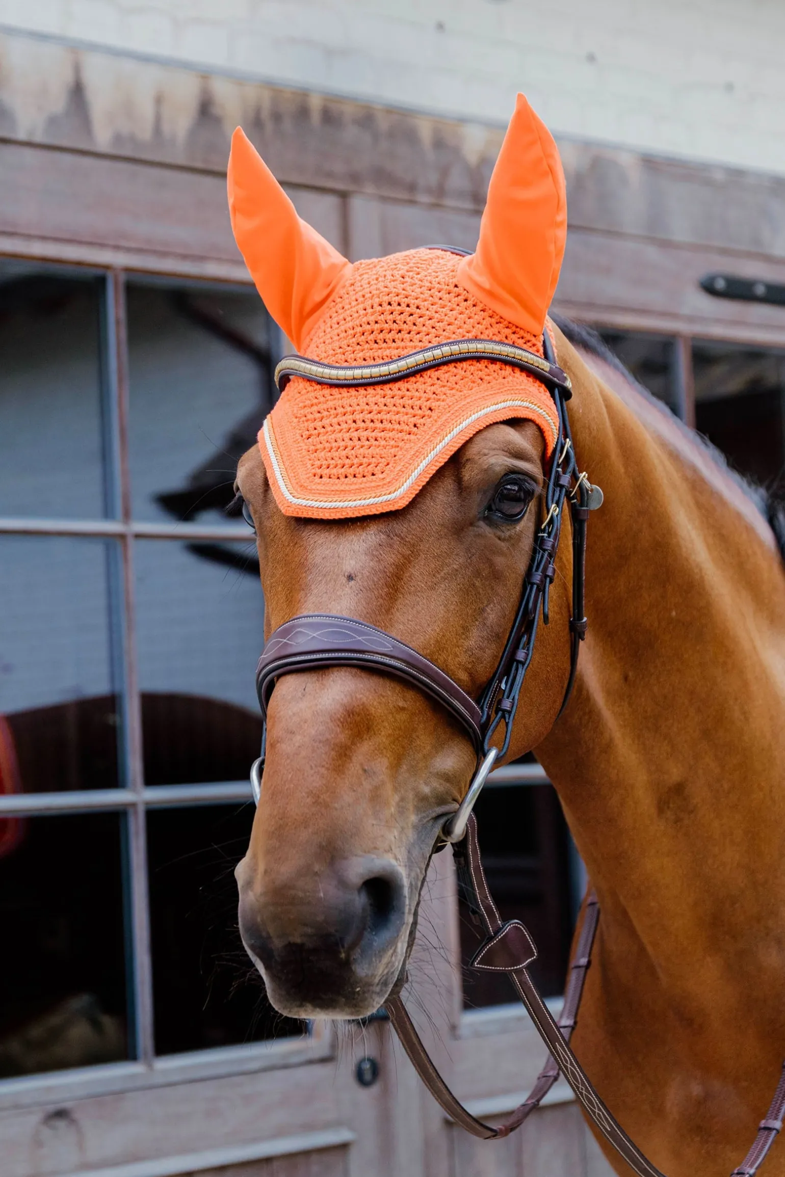 Fliegenhaube Wellington Diamond Rope Soundless